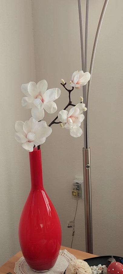 Ferienwohnung Odenwaldblick Momlingen 외부 사진